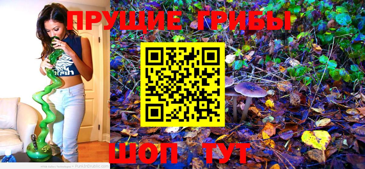 Псилоцибиновые грибы Psilocybe  Вход с VPN  Красноуфимск 